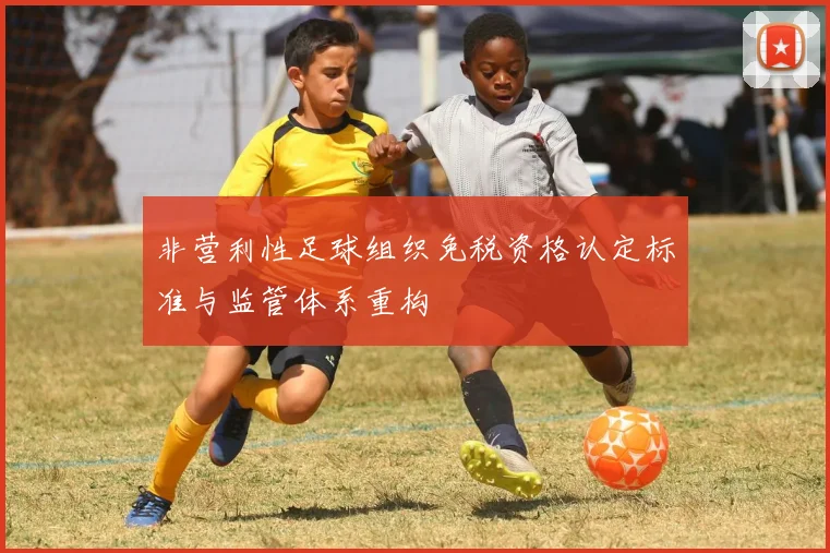 非营利性足球组织免税资格认定标准与监管体系重构