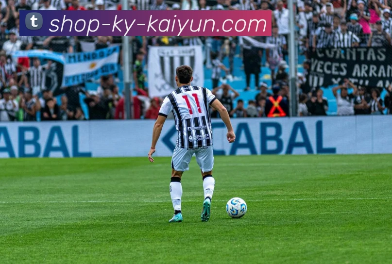 开云app服务体系